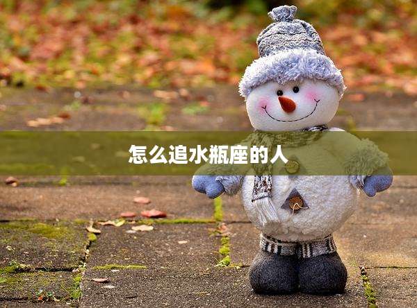 怎么追水瓶座的人