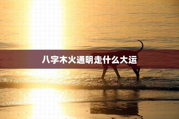 八字木火通明走什么大运