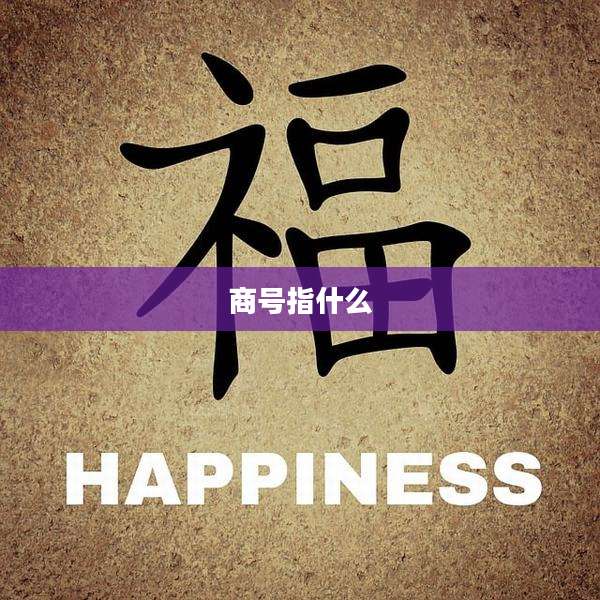 商号指什么