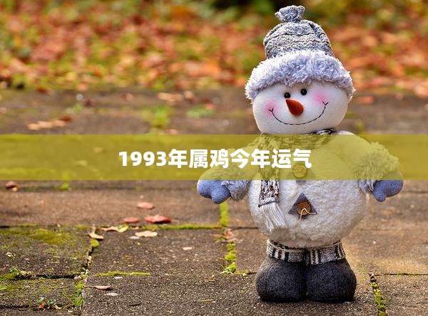 1993年属鸡今年运气