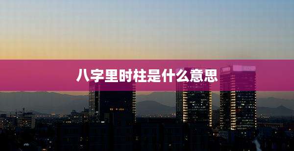 八字里时柱是什么意思
