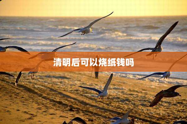 清明后可以烧纸钱吗