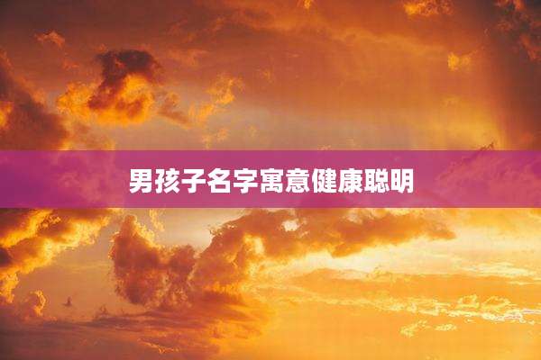 男孩子名字寓意健康聪明