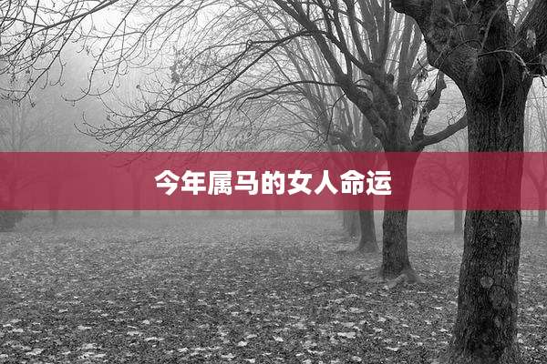 今年属马的女人命运