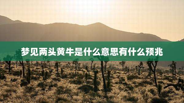 梦见两头黄牛是什么意思有什么预兆