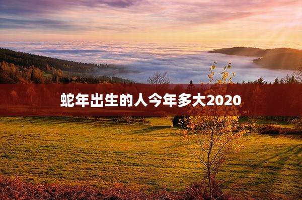 蛇年出生的人今年多大2020