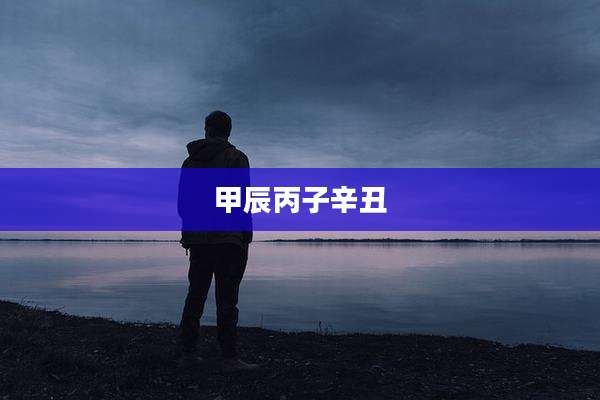 甲辰丙子辛丑