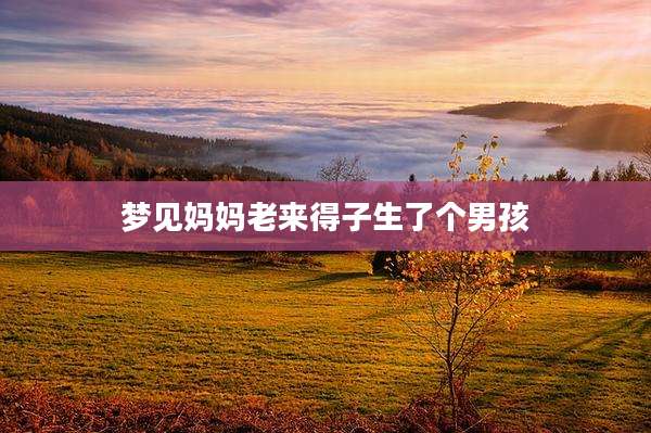 梦见妈妈老来得子生了个男孩