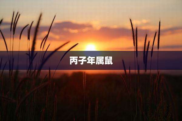 丙子年属鼠