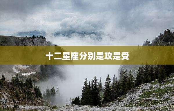 十二星座分别是攻是受