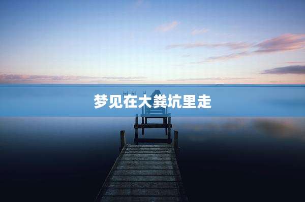 梦见在大粪坑里走