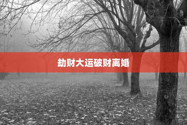 劫财大运破财离婚