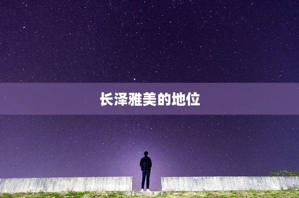 长泽雅美的地位