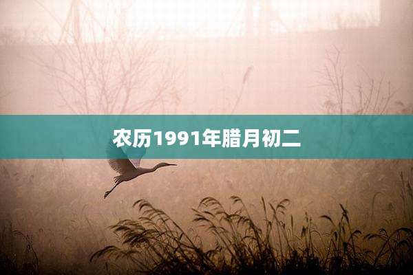 农历1991年腊月初二