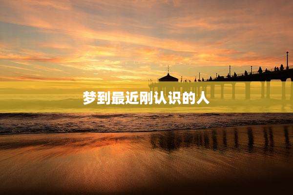 梦到最近刚认识的人