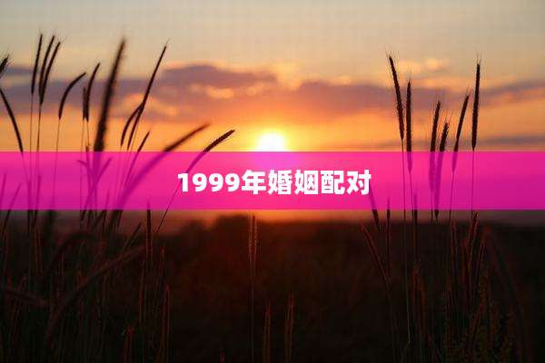 1999年婚姻配对