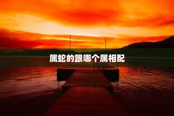 属蛇的跟哪个属相配