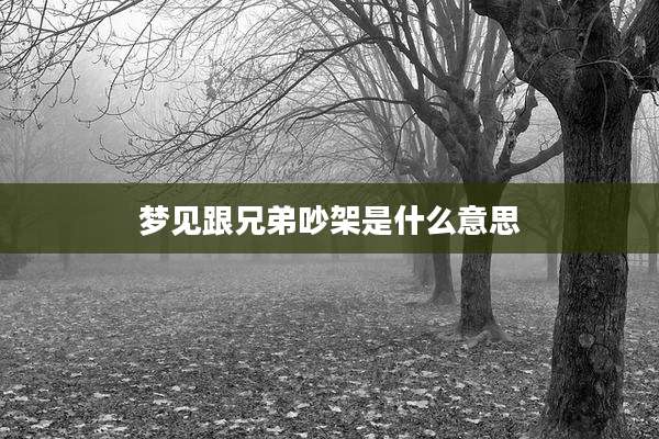 梦见跟兄弟吵架是什么意思