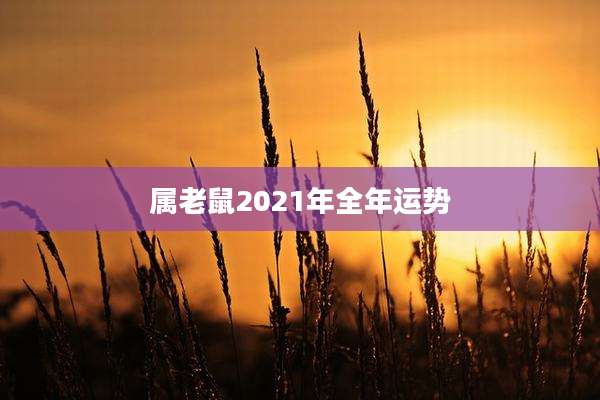 属老鼠2021年全年运势