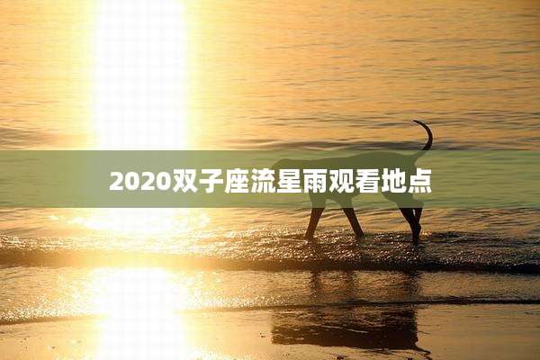 2020双子座流星雨观看地点