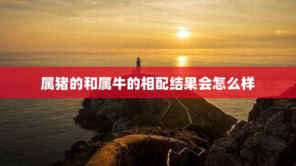属猪的和属牛的相配结果会怎么样