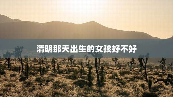 清明那天出生的女孩好不好