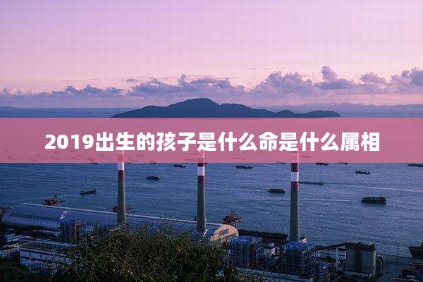 2019出生的孩子是什么命是什么属相