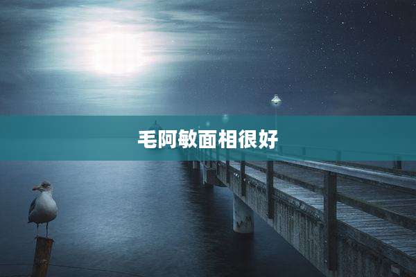 毛阿敏面相很好