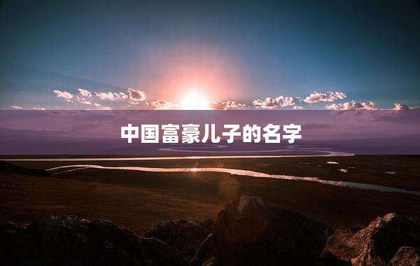 中国富豪儿子的名字