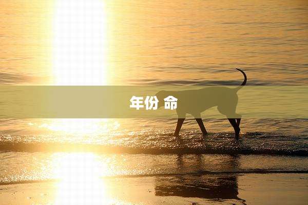 年份 命