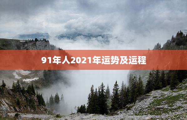 91年人2021年运势及运程