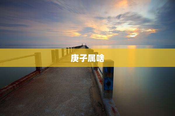 庚子属啥