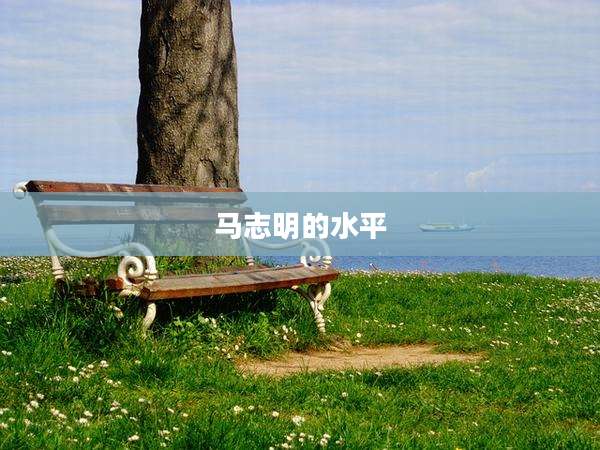 马志明的水平