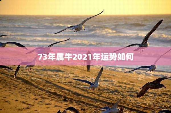 73年属牛2021年运势如何