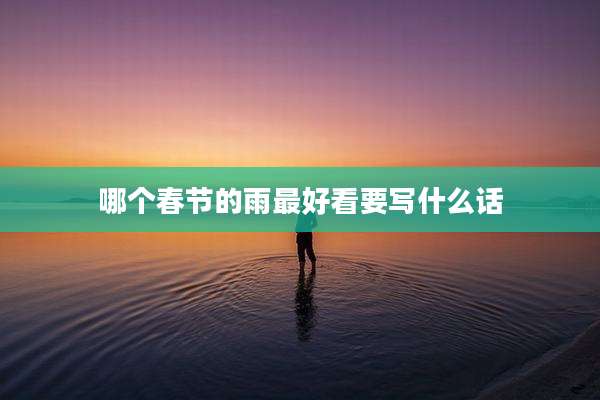 哪个春节的雨最好看要写什么话