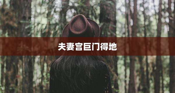 夫妻宫巨门得地