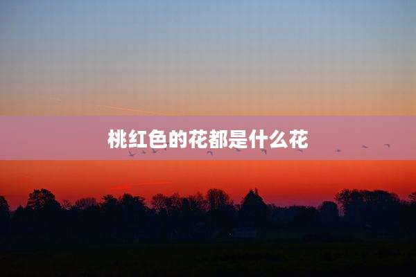 桃红色的花都是什么花