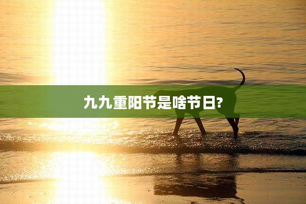 九九重阳节是啥节日?