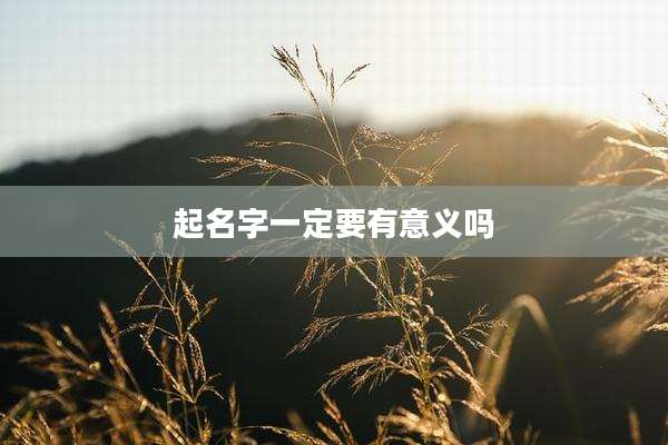 起名字一定要有意义吗
