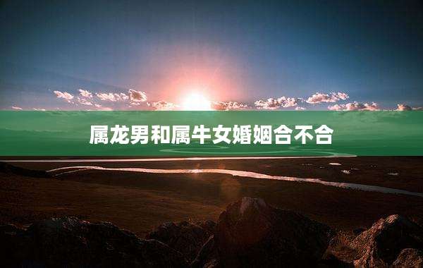 属龙男和属牛女婚姻合不合
