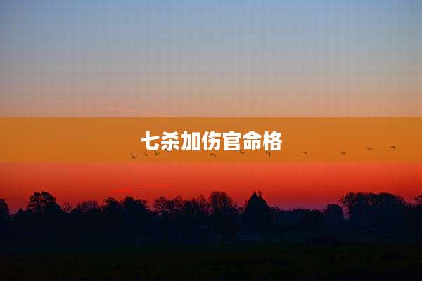 七杀加伤官命格