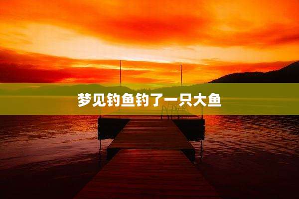 梦见钓鱼钓了一只大鱼