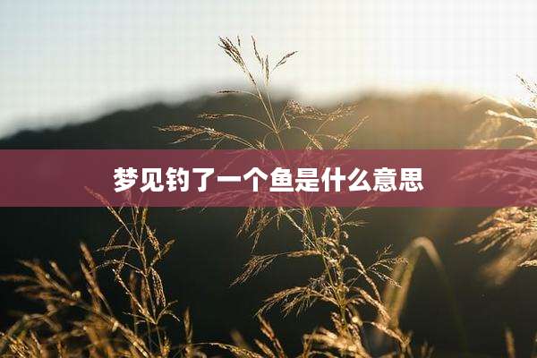 梦见钓了一个鱼是什么意思