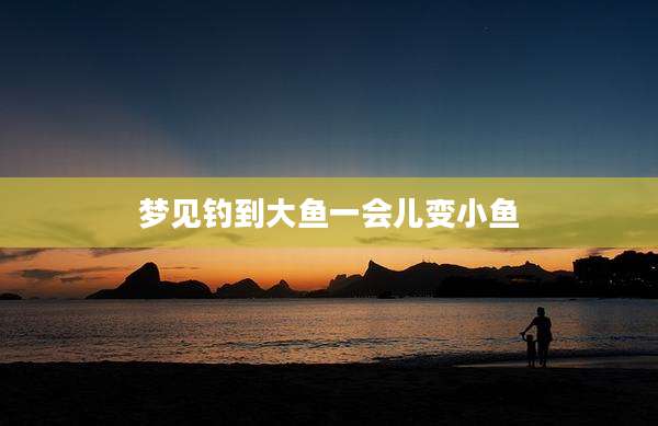 梦见钓到大鱼一会儿变小鱼