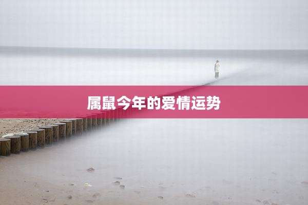 属鼠今年的爱情运势