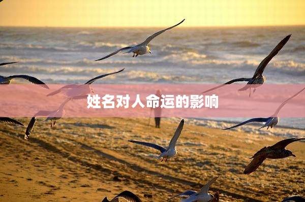 姓名对人命运的影响