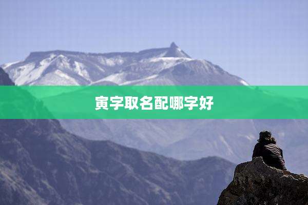 寅字取名配哪字好