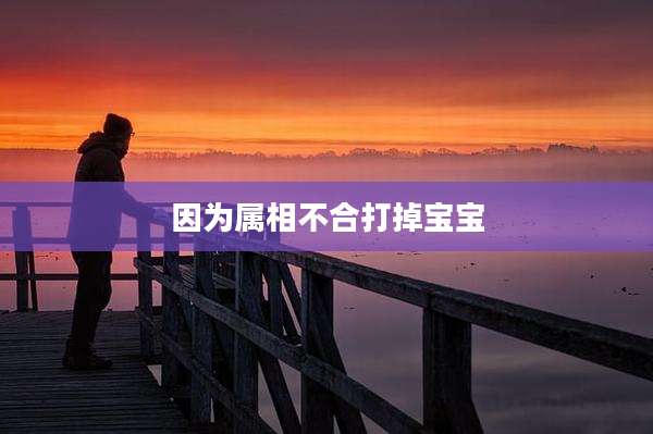 因为属相不合打掉宝宝