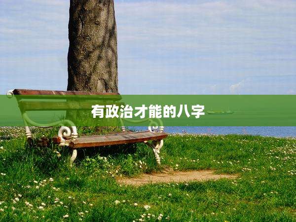 有政治才能的八字