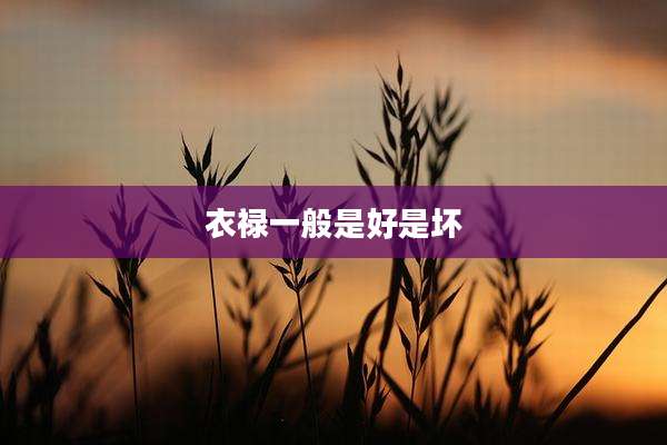 衣禄一般是好是坏